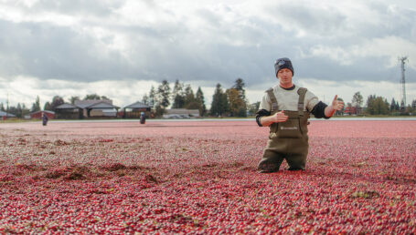 Hopcott Farms. Travis Hopcott in a flooded cranberry field