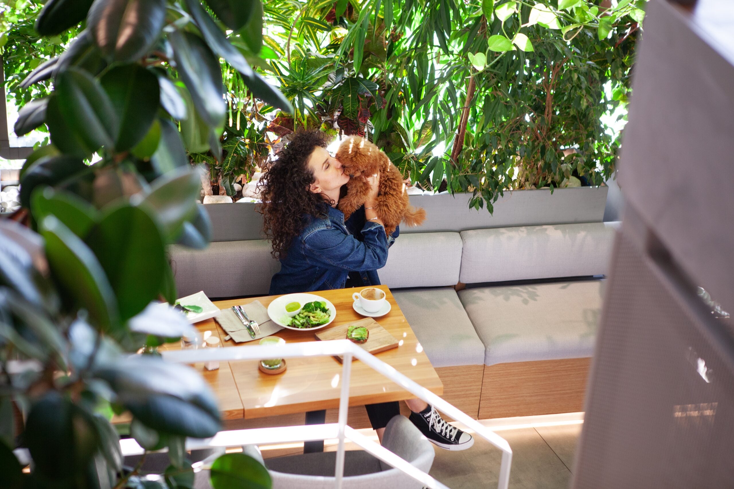 Opinion: Asian cities are letting pets into restaurants. Is it time for B.C. to rethink the rules?